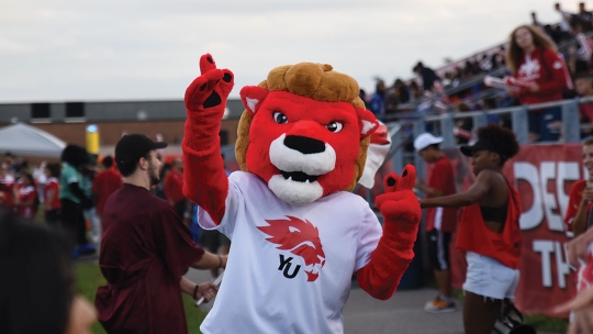 York University lion mascot